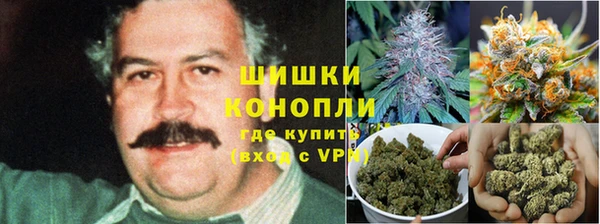 трава Семилуки