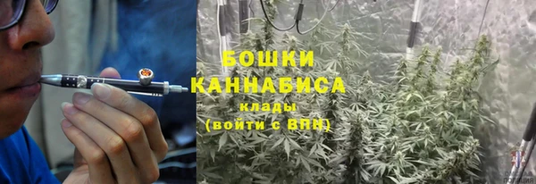 трава Семилуки
