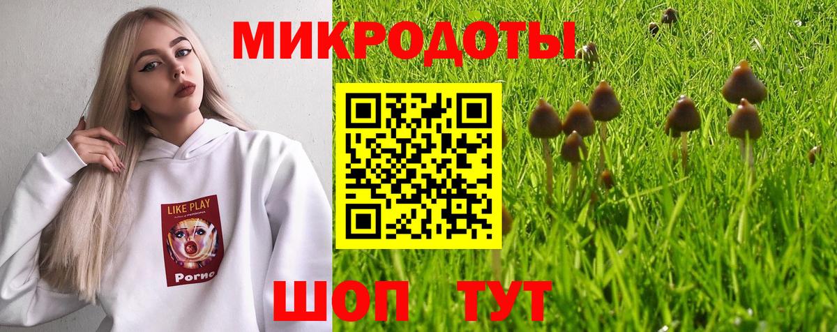 Сердобск  где найти   Вход с VPN  Псилоцибиновые грибы ЛСД 