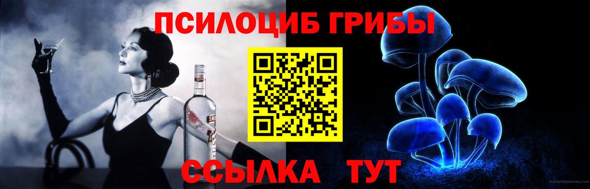 Псилоцибиновые грибы прущие грибы Сердобск